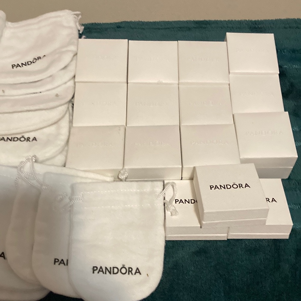 Pandora Small Charm boxes and pouch.